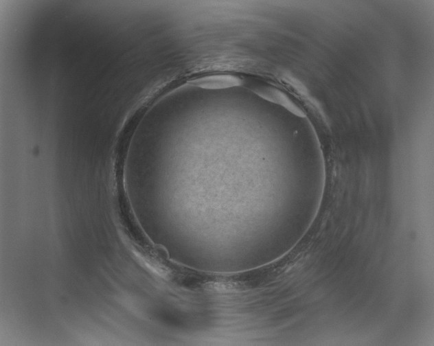 X0000071800250200606301208