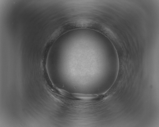 X0000071800258200606301208