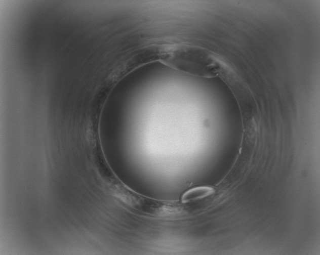 X0000071800270200606301209