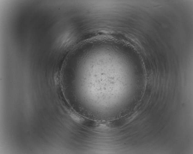 X0000071800285200606301209