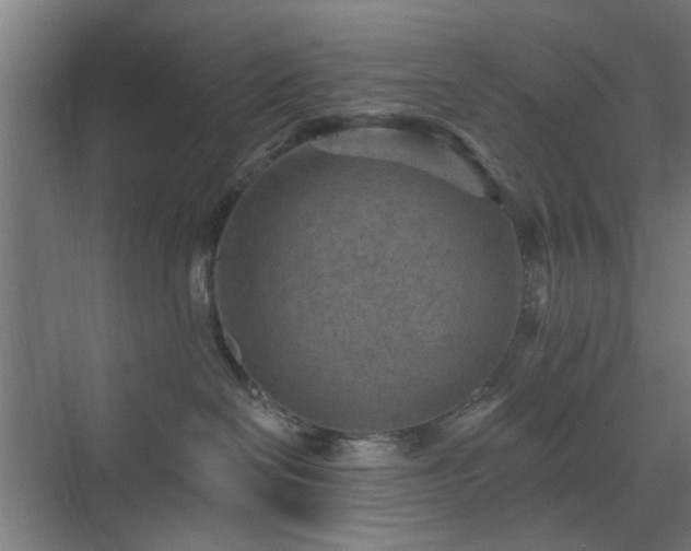 X0000071800286200606301209