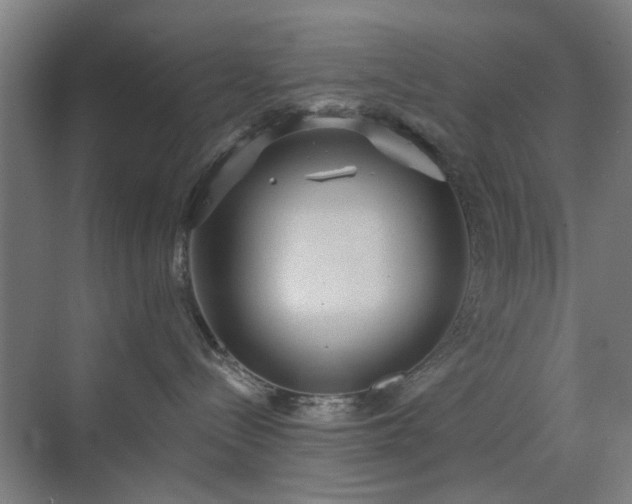 X0000071800288200606301209