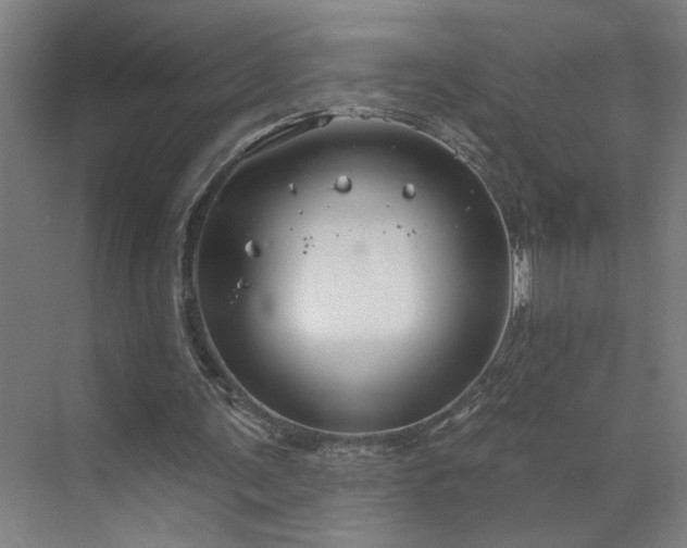 X0000071800291200606301208