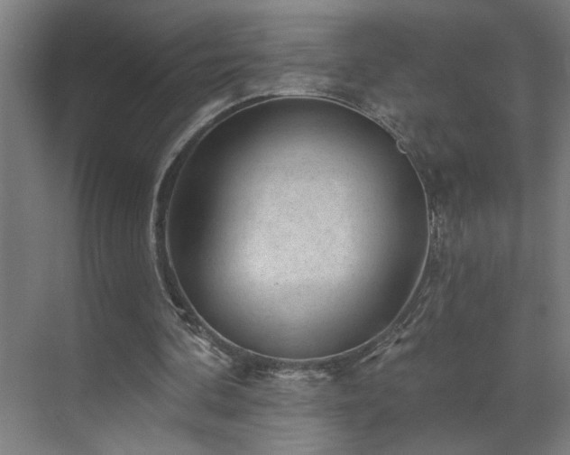 X0000071800292200606301208