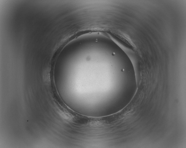 X0000071800299200606301208