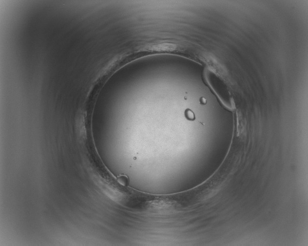 X0000071800300200606301208