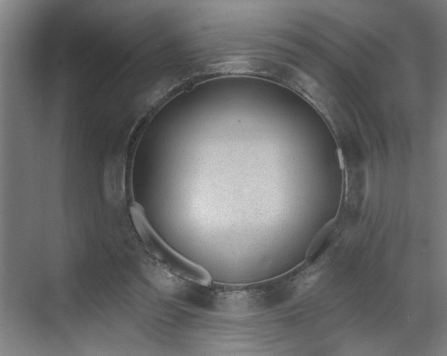 X0000071800301200606301208