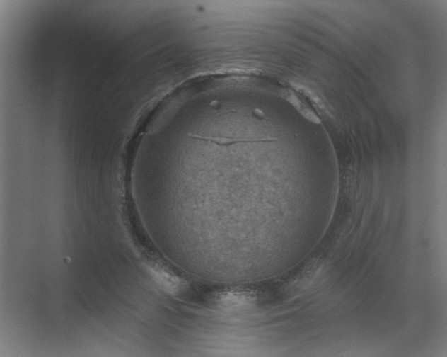 X0000071800303200606301208