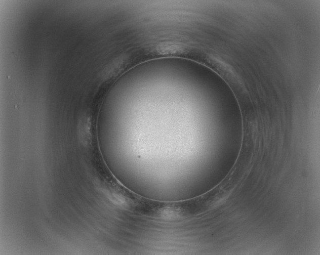 X0000071800308200606301208