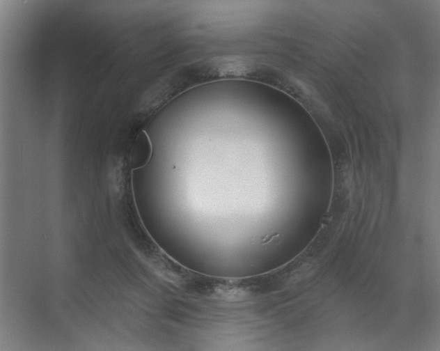 X0000071800311200606301208