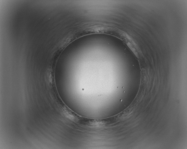 X0000071800313200606301208