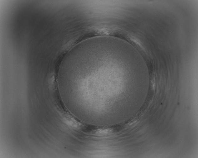 X0000071800314200606301208