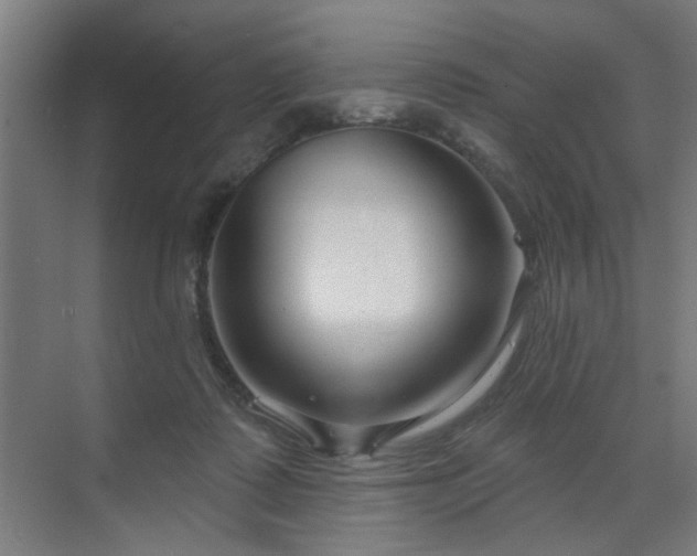 X0000071800315200606301208