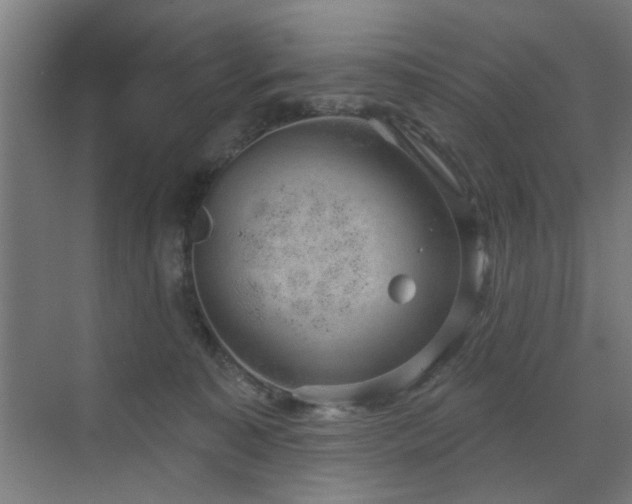 X0000071800323200606301208