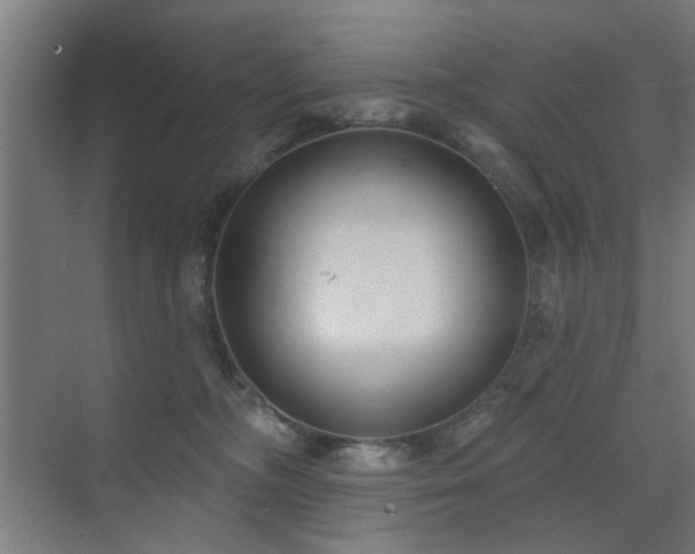 X0000071800326200606301208