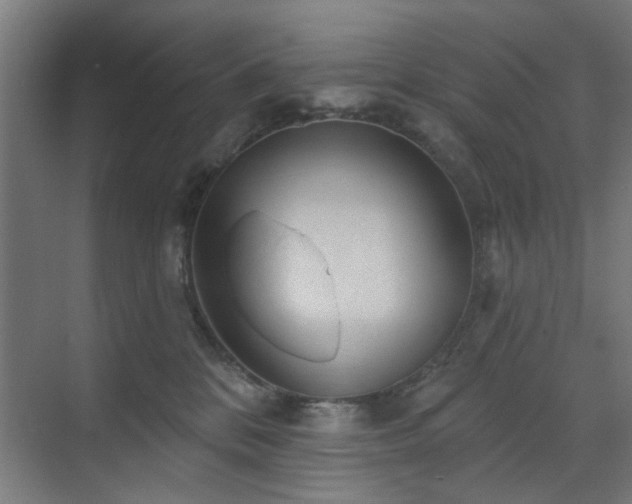 X0000071800328200606301207