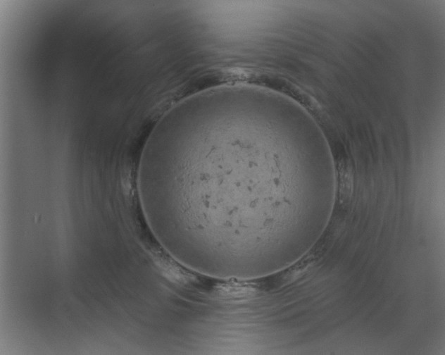 X0000071800331200606301207