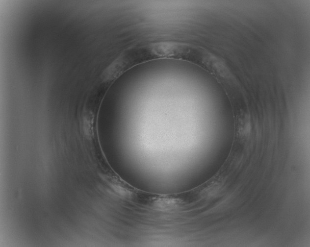 X0000071800332200606301207