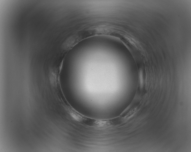 X0000071800333200606301207