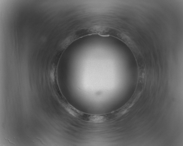 X0000071800334200606301207