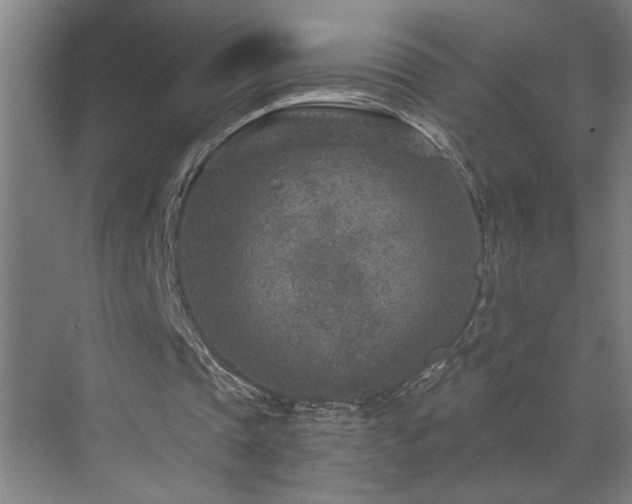 X0000071800337200606301207