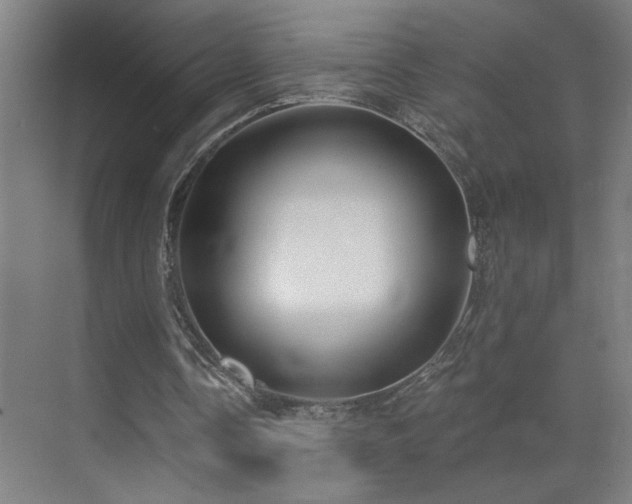 X0000071800338200606301207