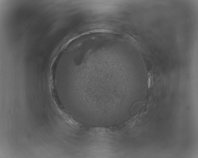 X0000071800339200606301207