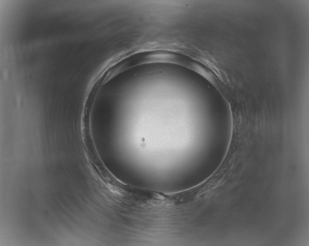 X0000071800340200606301207