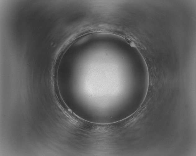 X0000071800341200606301207