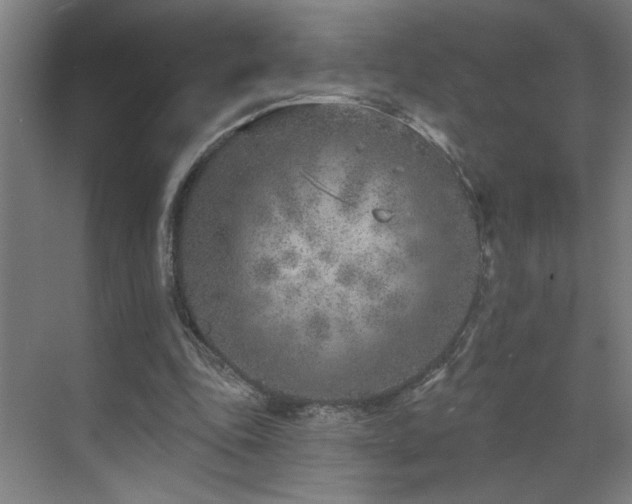 X0000071800343200606301207