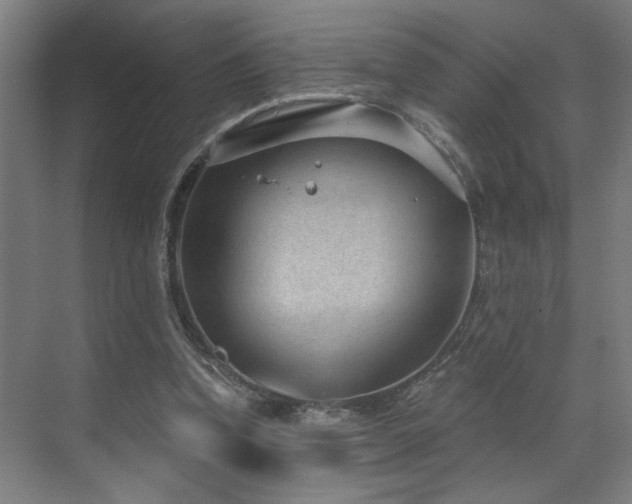 X0000071800346200606301207