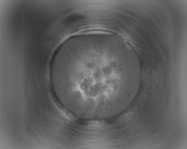 X0000071800347200606301207