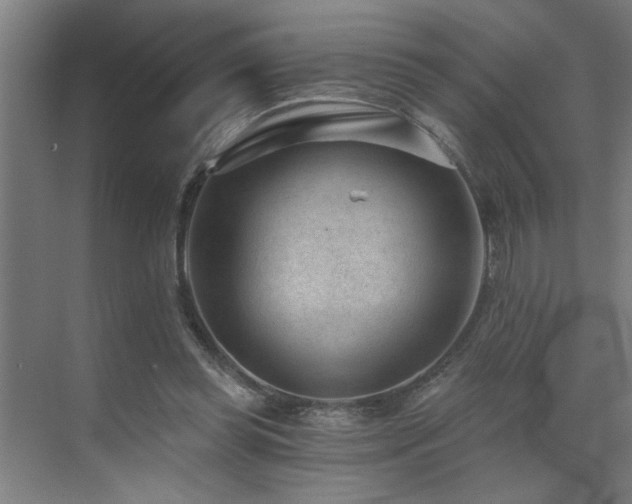 X0000071800349200606301207