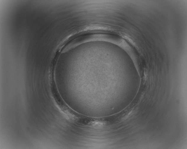 X0000071800352200606301207