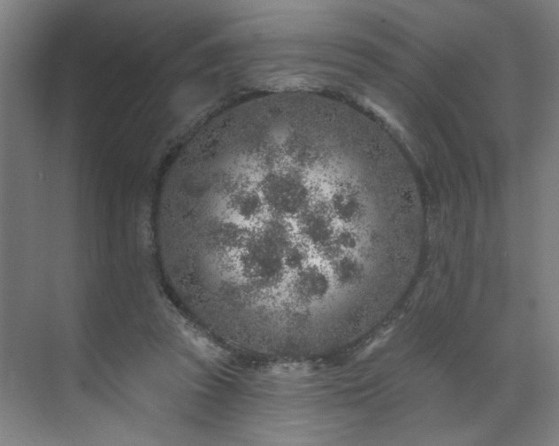 X0000071800353200606301207