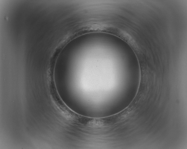 X0000071800354200606301207