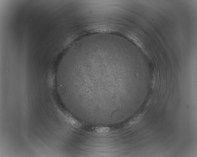 X0000071800355200606301207