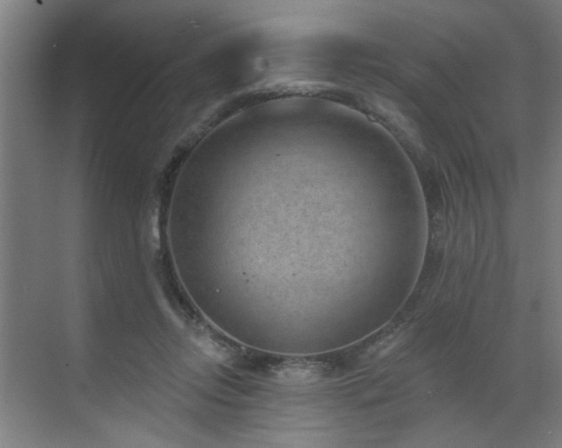 X0000071800358200606301207