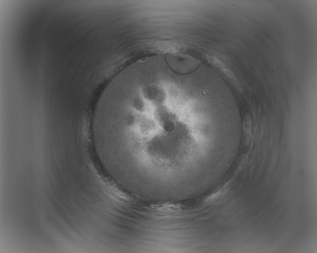 X0000071800359200606301207