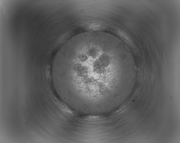 X0000071800361200606301207