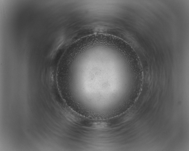 X0000071800363200606301207