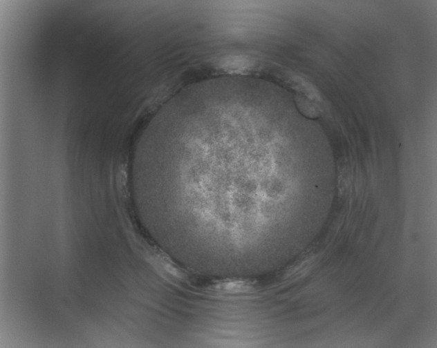 X0000071800365200606301207