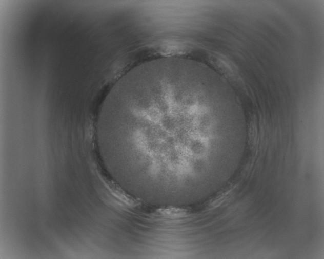 X0000071800367200606301207