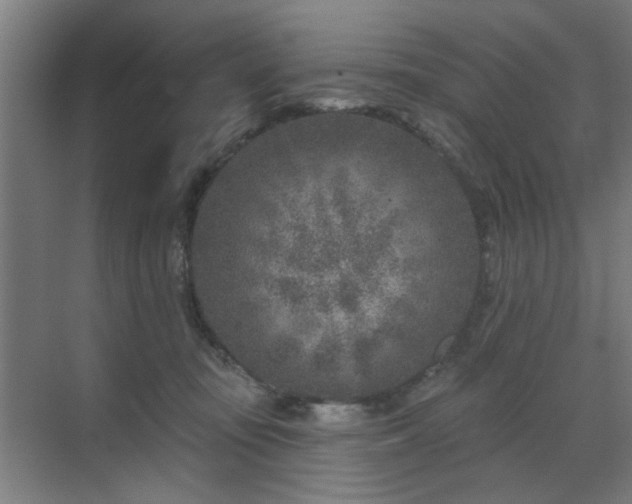 X0000071800371200606301207