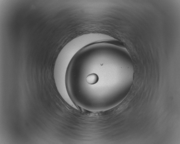 X0000071800384200606301207