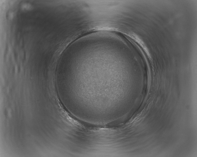 X0000071800385200606301206