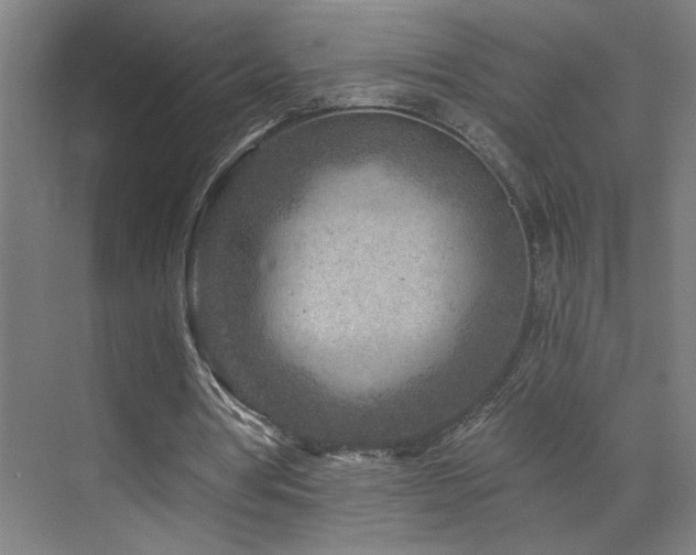 X0000071800386200606301206