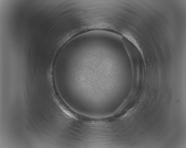 X0000071800389200606301206