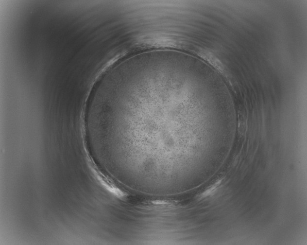 X0000071800390200606301206