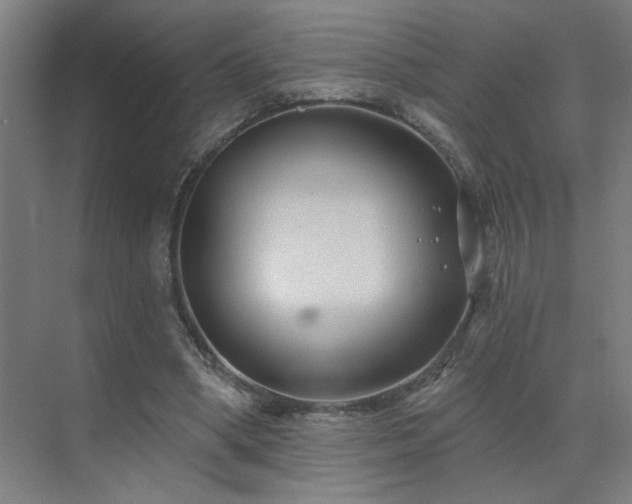 X0000071800394200606301206